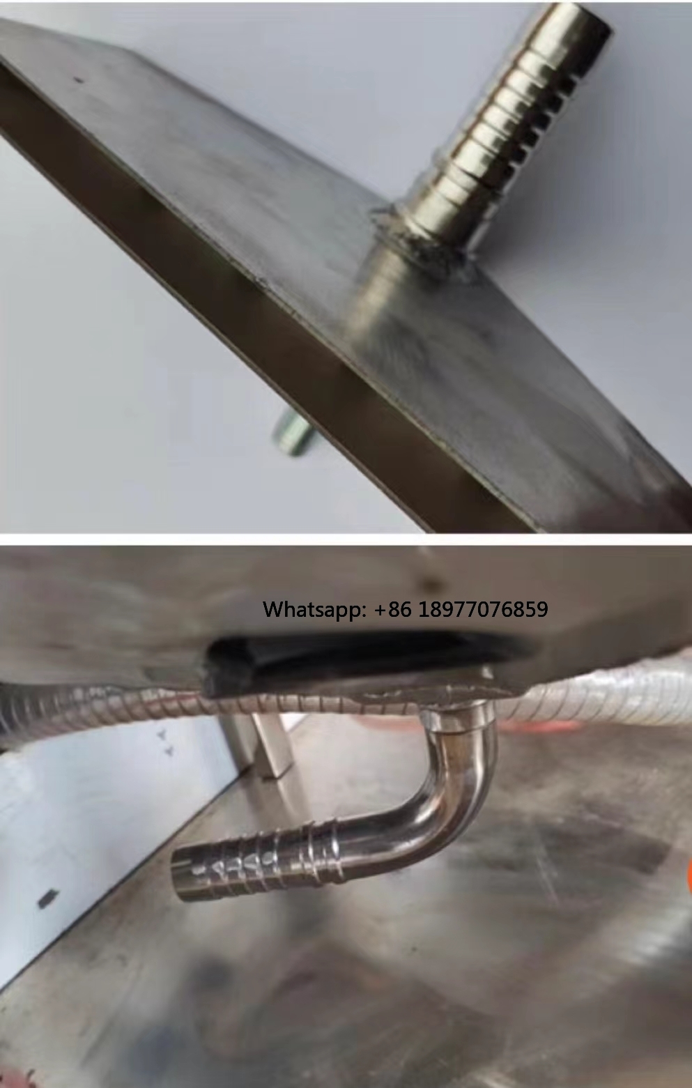 Máquina Automática Eléctrica d - Spring Roll Wrapper reseña y precio